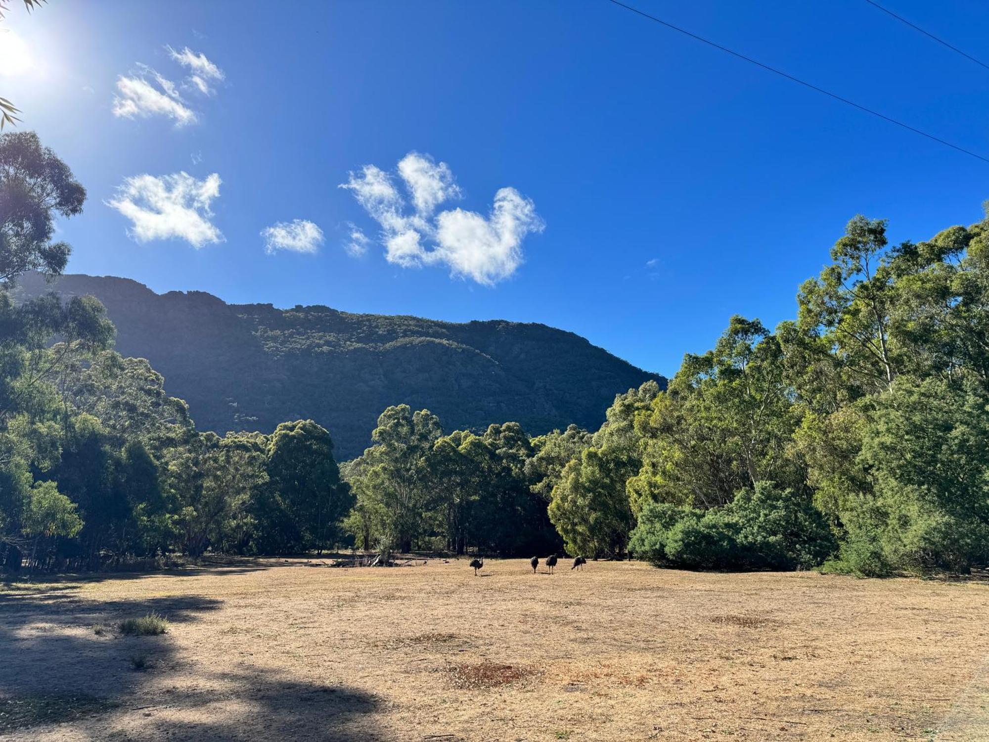 Halls Gap Log Cabins Zewnętrze zdjęcie